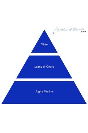 Marina di Corricella fragrance bath 250 ml Profumi di Procida | MARINADICORRICELLA_BS250ML250ML